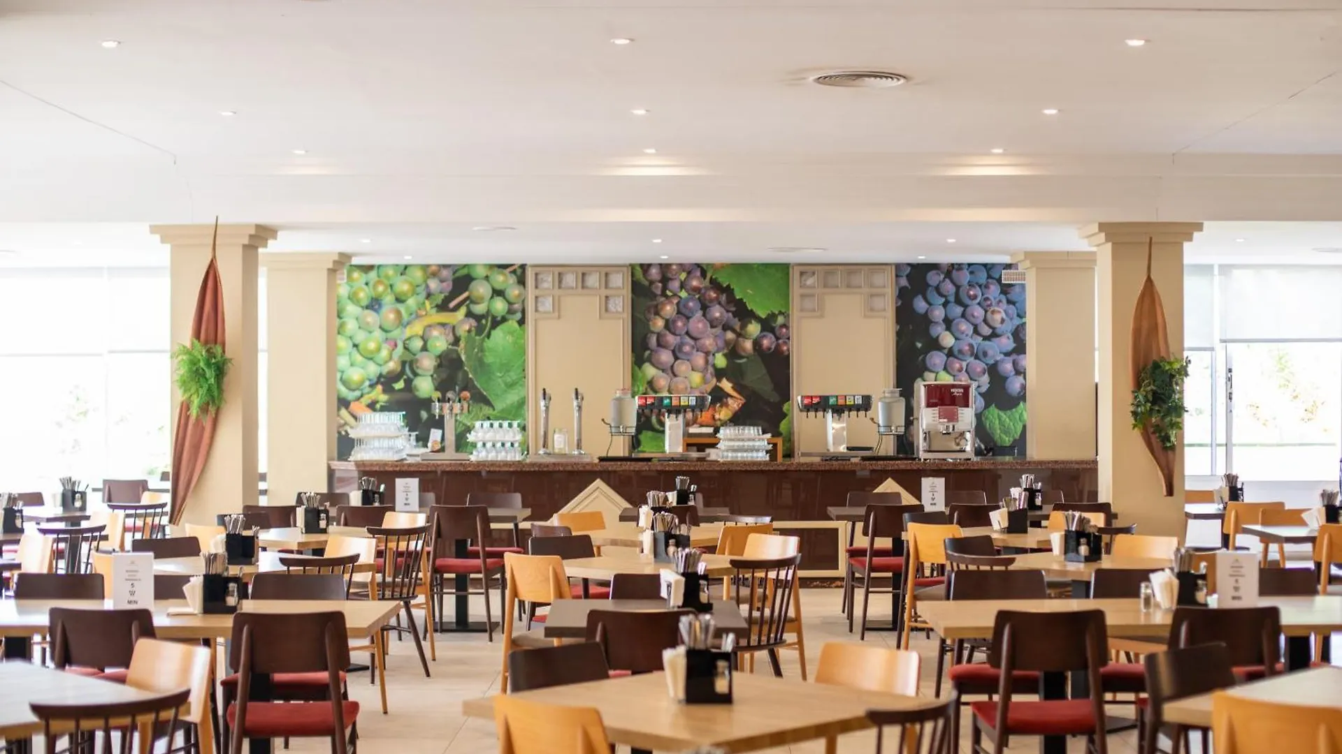 Hotel Mariant Park Sa Coma  Espagne